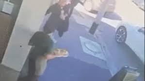 Police investigate woman smashing plate in waitress' face