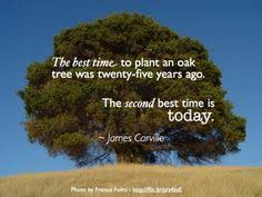 Office Space on Pinterest | Oak Tree, Napoleon Hill and Oak Leaves via Relatably.com