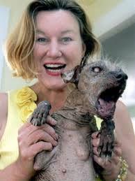 Here is a photograph of Barbara holding the clearly sick dog. Jacky also yelled; “But my dog! My dog is trapped! My world&#39;s ugliest dog contest! Ruined! - ugly_dog_winner_chinese_meat_crested_1