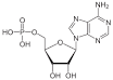 Adenosine monophosphate