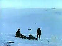 Резултат слика за echo and the bunnymen biografija benda