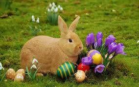 Résultat de recherche d'images pour "easter bunny"