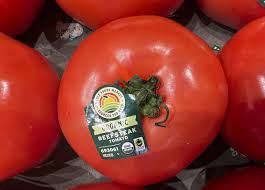 US Tariff on Mexican Tomatoes: Impact and Implications