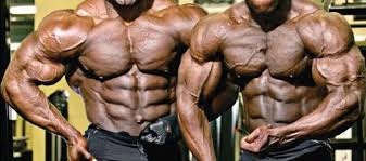 Image result for hasil tubuh fitnes