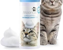 Cat shampooの画像