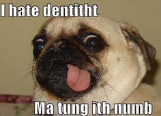 Wisdom Teeth Funny Quotes. QuotesGram via Relatably.com