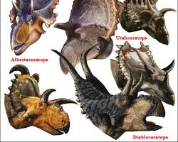 Gambar Triceratops frill