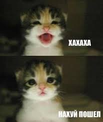 images?q=tbn:ANd9GcQOZKC-tF4YXoBFRKk0tD-c3CLFRbr4LxDUV8mEbcqmZiAh2YP0