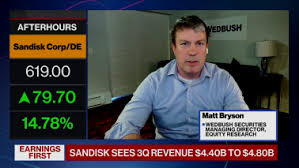 샌디스크 아이콘