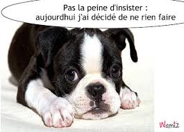 Résultat de recherche d'images pour "images repos"