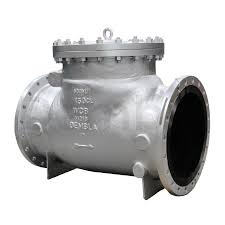 Swing Check Valves Manufacturer in India | Dembla Valves