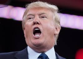Image result for Donald Trump
