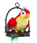 Pictures of 2 parrots talking and singing dolls <?=substr(md5('https://encrypted-tbn3.gstatic.com/images?q=tbn:ANd9GcQOraXX1kh4q2PDhxx9YLlw83SVSlHEZHi-TGifnb02sgQ3XIlMoTgYD8M8'), 0, 7); ?>