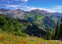 Image result for summer hikes
