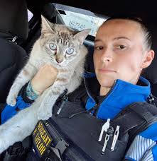 As you're embracing new beginnings, Sgt. Taylor is getting ready to receive the Cat Life Saving Award 🥇 for rescuing this injured cat 🐱 Earlier today, she found this cat literally sitting