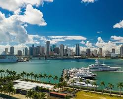 Image of Miami skyline with phone numbers floating around