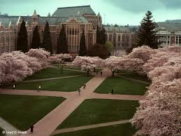 Image result for university of washington