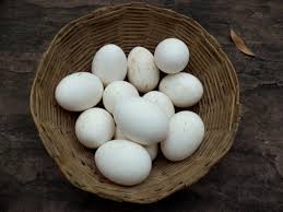 telur ayam kampung