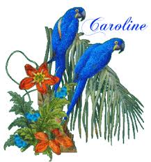 Résultat de recherche d'images pour "gifs du prenom caroline de blingee"