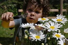 Bug Exhibits at Marin County Fair by Marin Independent Journal