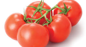 tomato க்கான பட முடிவு