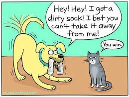 Image result for funny cartoon images