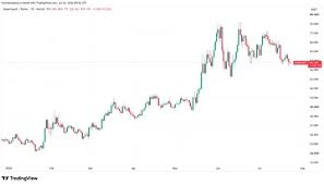 بیت‌کوین در چرخه صعودی بعدی کریپتو از هایپرلیکویید و Robinhood قدرت می‌گیرد