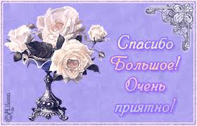 images?q=tbn:ANd9GcQPYo36yK1_2jSD8eAGisu