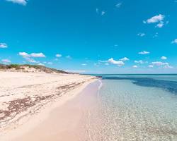 Immagine di Spiaggia di Punta Prosciutto, Puglia