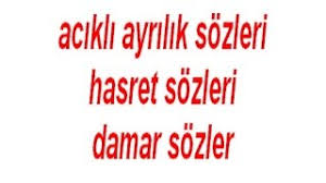 polat alemdar damar sözleri ile ilgili görsel sonucu