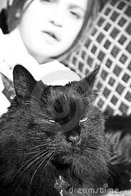 Girl and Cat/Black and White Royalty Free Stock Images. Girl and Cat/Black and White - girl-cat-black-white-7570679