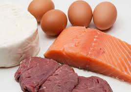 Image result for protein