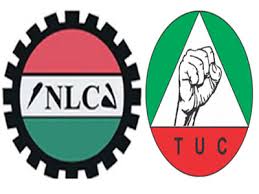 Image result for nlc nigeria