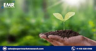 Emerging Opportunities in the Biopesticides Market: Size, Share, Trends, Growth, Analysis, and Forecast 2023-2028 - 1