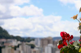 Com baixa chance de chuva, fim de semana será quente em Juiz de Fora