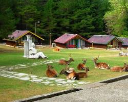 Immagine di Parco Nazionale di Llogara