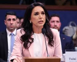 tulsi gabbard Picture