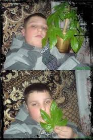 images