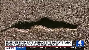 Rattlesnake