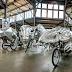 'Beasts' to pedal their cause in Toledo