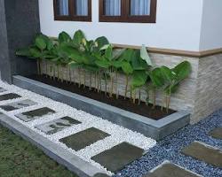 Image of Taman Minimalis Samping Rumah