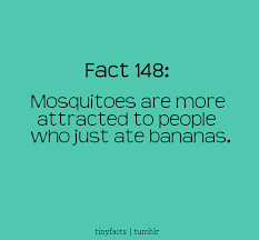 MOSQUITOES Quotes Like Success via Relatably.com