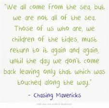Chasing Mavericks Quotes on Pinterest | Jay Moriarity, Lone ... via Relatably.com