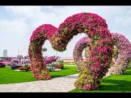 Image result for dubai tourism places