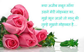 Image result for  love shayari in the rose image