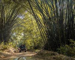 Image de Banco National Park, Abidjan