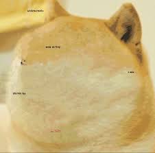 Image result for doge face swap