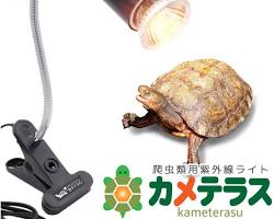 UVBライトの画像