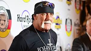 hulk hogan Picture