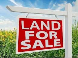 Image result for FOR SALE, FARM LAND